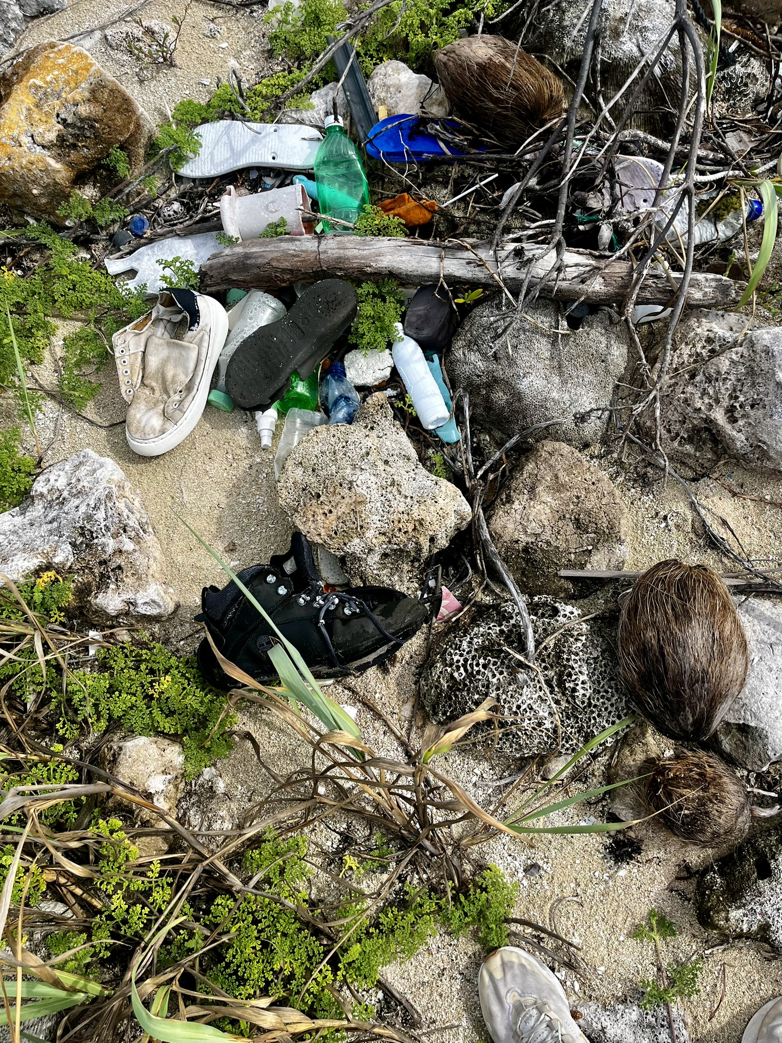 Clean Beach Crew - Protecting Our Oceans Together